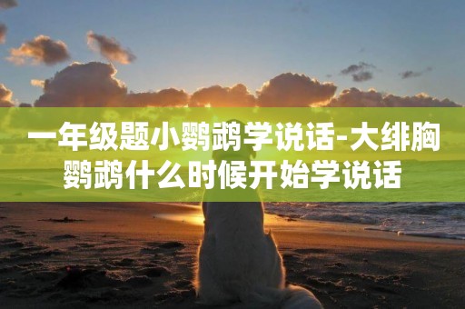 一年級題小鸚鵡學說話-大緋胸鸚鵡什么時候開始學說話