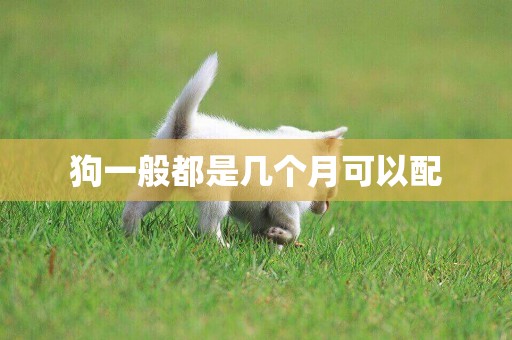 狗一般都是幾個月可以配