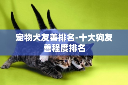 寵物犬友善排名-十大狗友善程度排名