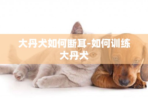 大丹犬如何斷耳-如何訓練大丹犬