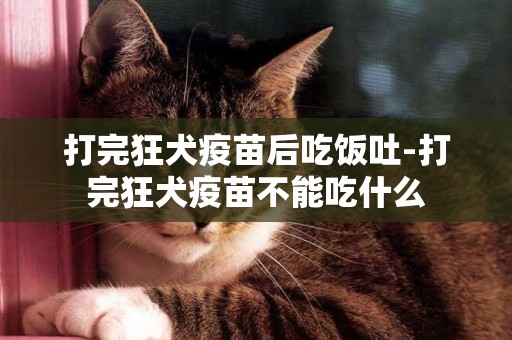 打完狂犬疫苗后吃飯吐-打完狂犬疫苗不能吃什么