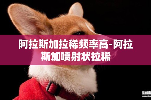 阿拉斯加拉稀頻率高-阿拉斯加噴射狀拉稀
