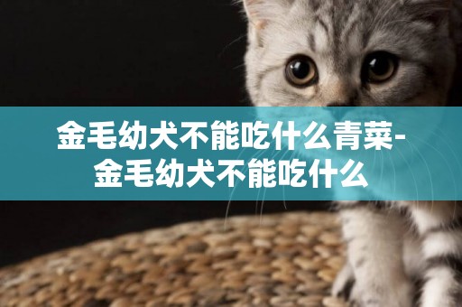 金毛幼犬不能吃什么青菜-金毛幼犬不能吃什么