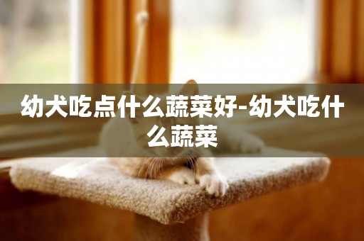 幼犬吃點什么蔬菜好-幼犬吃什么蔬菜