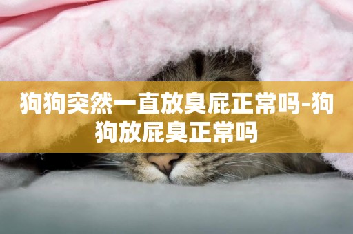 狗狗突然一直放臭屁正常嗎-狗狗放屁臭正常嗎
