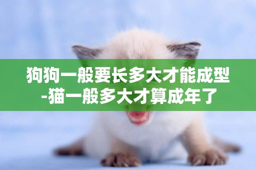 狗狗一般要長多大才能成型-貓一般多大才算成年了