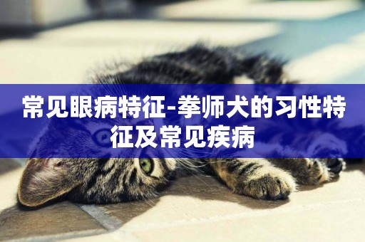 常見眼病特征-拳師犬的習性特征及常見疾病