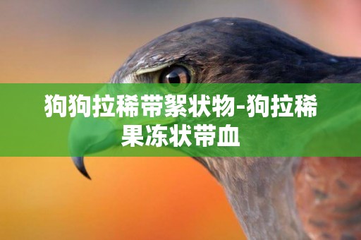 狗狗拉稀帶絮狀物-狗拉稀果凍狀帶血