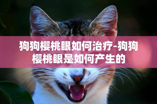 狗狗櫻桃眼如何治療-狗狗櫻桃眼是如何產生的