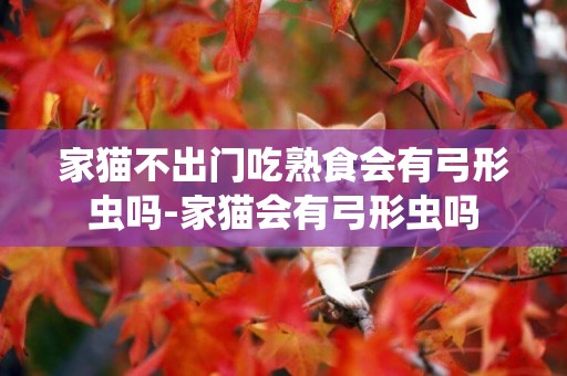 家貓不出門吃熟食會有弓形蟲嗎-家貓會有弓形蟲嗎