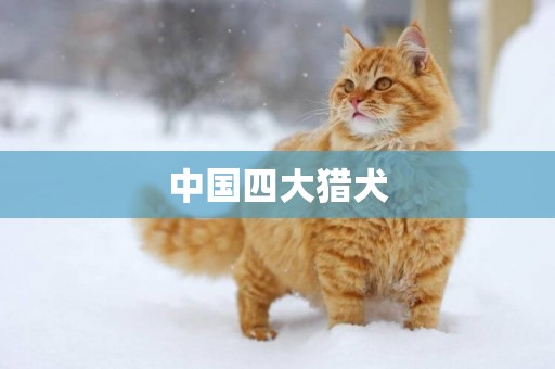 中國四大獵犬