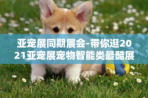 亞寵展同期展會-帶你逛2021亞寵展寵物智能類最酷展臺