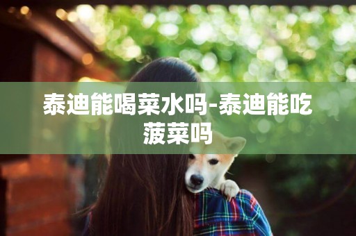 泰迪能喝菜水嗎-泰迪能吃菠菜嗎