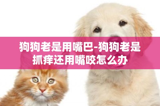 狗狗老是用嘴巴-狗狗老是抓癢還用嘴咬怎么辦