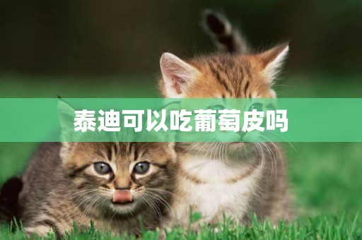泰迪可以吃葡萄皮嗎