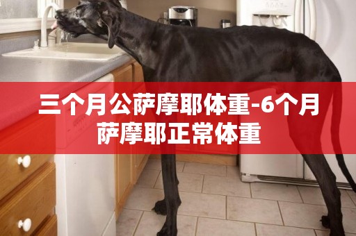 三個月公薩摩耶體重-6個月薩摩耶正常體重