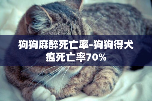 狗狗麻醉死亡率-狗狗得犬瘟死亡率70%