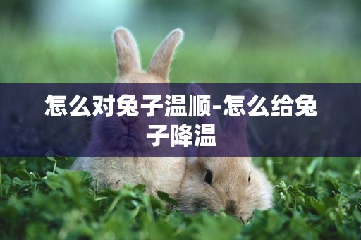 怎么對兔子溫順-怎么給兔子降溫