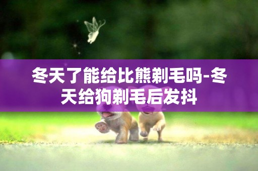 冬天了能給比熊剃毛嗎-冬天給狗剃毛后發抖