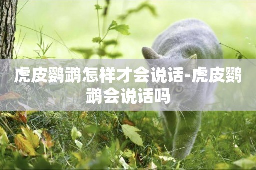 虎皮鸚鵡怎樣才會說話-虎皮鸚鵡會說話嗎