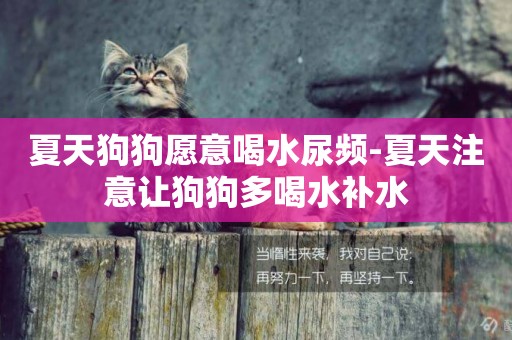 夏天狗狗愿意喝水尿頻-夏天注意讓狗狗多喝水補水