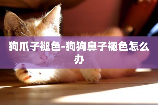 狗爪子褪色-狗狗鼻子褪色怎么辦