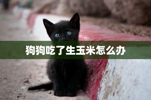 狗狗吃了生玉米怎么辦