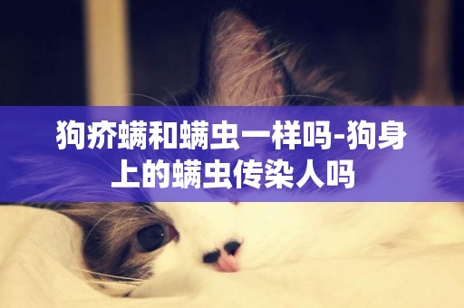 狗疥螨和螨蟲一樣嗎-狗身上的螨蟲傳染人嗎