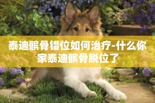 泰迪髕骨錯位如何治療-什么你家泰迪髕骨脫位了