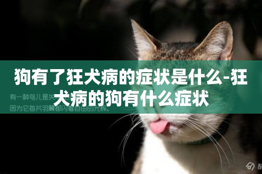 狗有了狂犬病的癥狀是什么-狂犬病的狗有什么癥狀