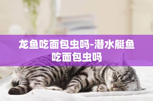 龍魚吃面包蟲嗎-潛水艇魚吃面包蟲嗎