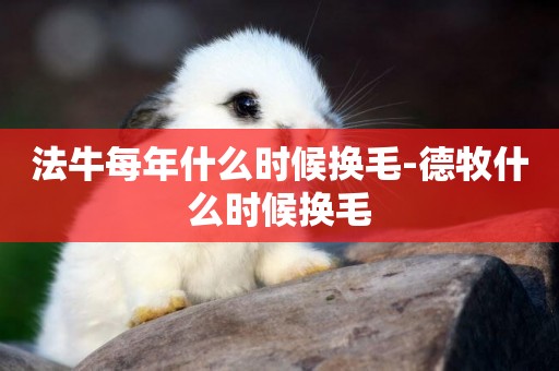 法牛每年什么時候換毛-德牧什么時候換毛