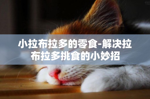 小拉布拉多的零食-解決拉布拉多挑食的小妙招