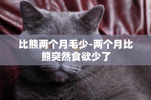 比熊兩個月毛少-兩個月比熊突然食欲少了