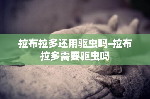 拉布拉多還用驅蟲嗎-拉布拉多需要驅蟲嗎