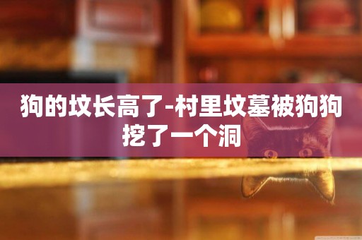 狗的墳長高了-村里墳墓被狗狗挖了一個洞