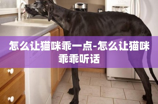 怎么讓貓咪乖一點-怎么讓貓咪乖乖聽話