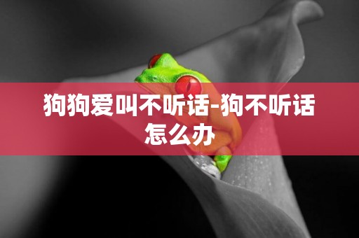 狗狗愛叫不聽話-狗不聽話怎么辦