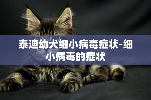 泰迪幼犬細小病毒癥狀-細小病毒的癥狀
