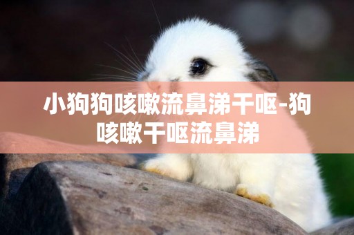 小狗狗咳嗽流鼻涕干嘔-狗咳嗽干嘔流鼻涕