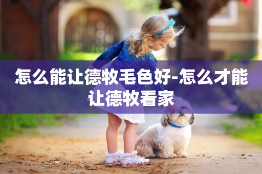 怎么能讓德牧毛色好-怎么才能讓德牧看家