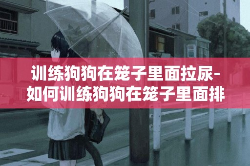 訓練狗狗在籠子里面拉尿-如何訓練狗狗在籠子里面排泄