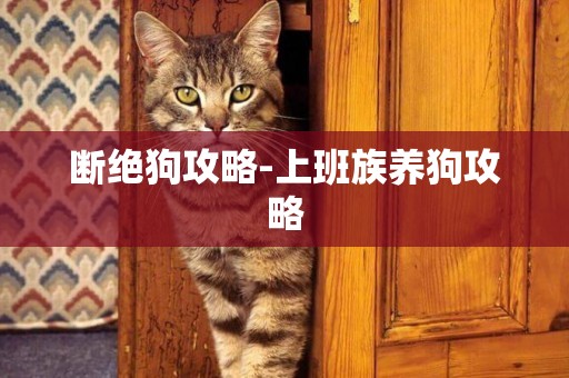 斷絕狗攻略-上班族養狗攻略