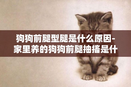 狗狗前腿型腿是什么原因-家里養的狗狗前腿抽搐是什么原因