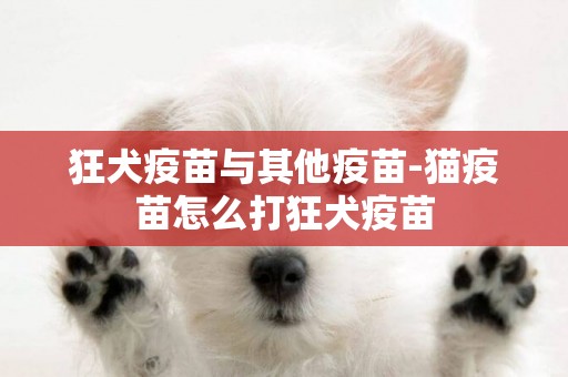 狂犬疫苗與其他疫苗-貓疫苗怎么打狂犬疫苗