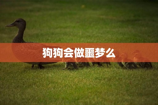 狗狗會做噩夢么