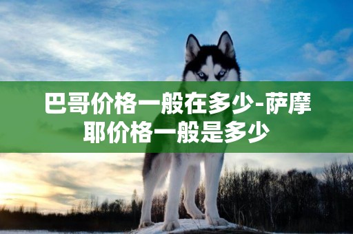 巴哥價格一般在多少-薩摩耶價格一般是多少