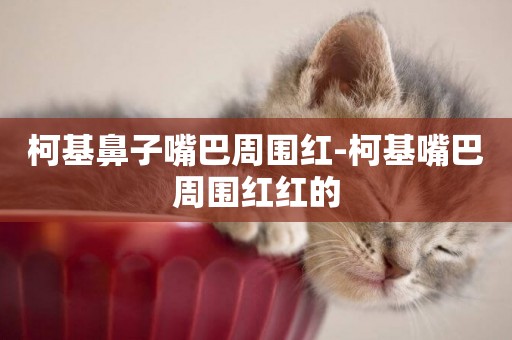 柯基鼻子嘴巴周圍紅-柯基嘴巴周圍紅紅的