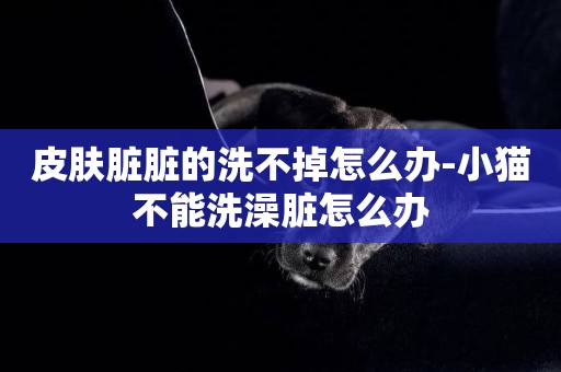 皮膚臟臟的洗不掉怎么辦-小貓不能洗澡臟怎么辦
