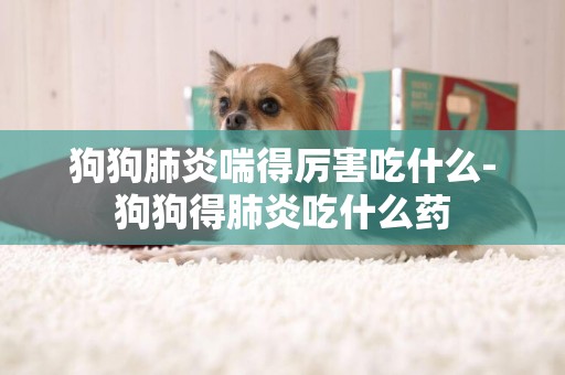 狗狗肺炎喘得厲害吃什么-狗狗得肺炎吃什么藥